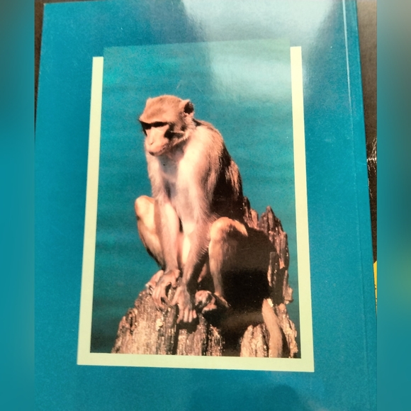 Silver Springs Timeless Oasis Book. - Picture 3 of 3